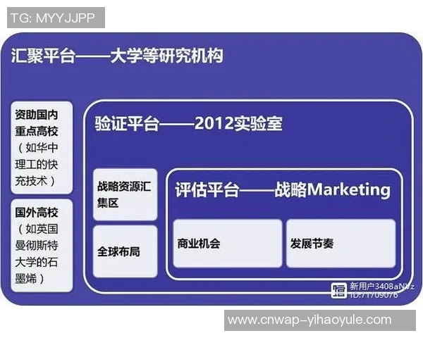 成都排球队技术分析与战术创新的深度探讨与展望MBA